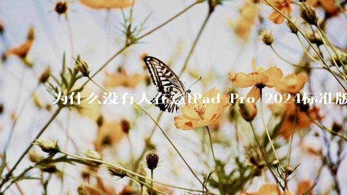 为什么没有人在意iPad Pro 2024标准版仅搭载的8GB内存（RAM）？