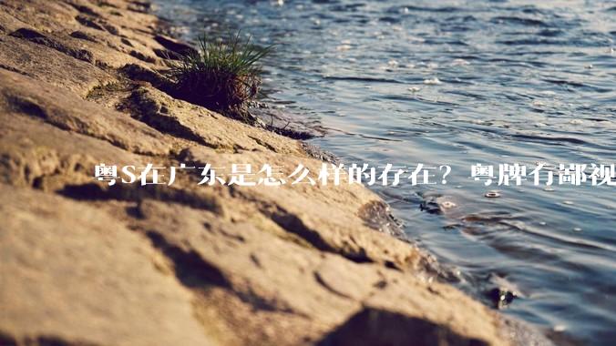 粤S在广东是怎么样的存在？粤牌有鄙视链吗？