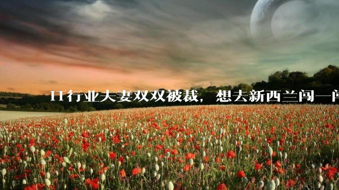 IT行业夫妻双双被裁，想去新西兰闯一闯可以吗？