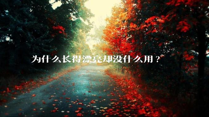为什么长得漂亮却没什么用?