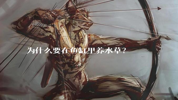 为什么要在鱼缸里养水草？