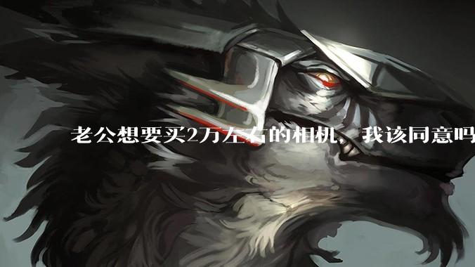 老公想要买2万左右的相机，我该同意吗？