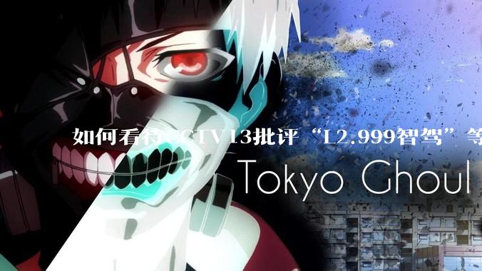如何看待CCTV13批评“L2.999智驾”等误导性宣传，若导致事故车企可能需要担责？