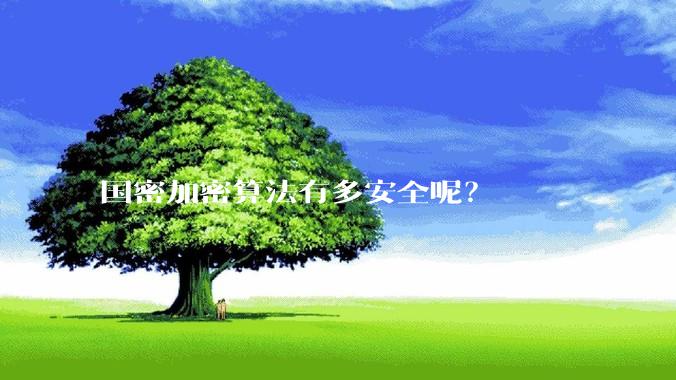 国密加密算法有多安全呢？