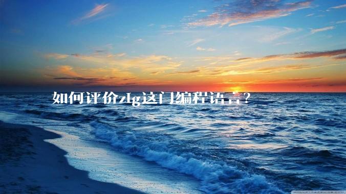 如何评价zig这门编程语言？