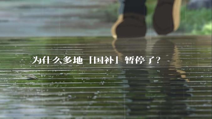 为什么多地「国补」暂停了？