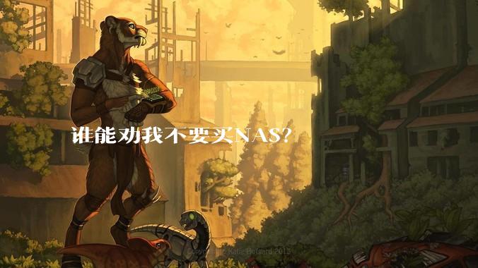 谁能劝我不要买NAS？